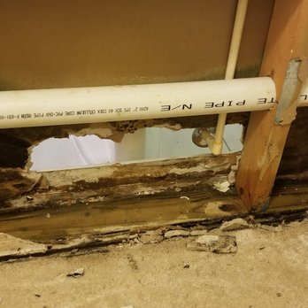Handyman CBG - Bathroom water leak and mold repair - Before - Handyman Near Me