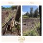 Photo of Menehune Hauling