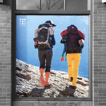 Husky Creative Signs and Graphics - Title 9 - Window Display Design & Signage | Boulder, CO - Graphic Design Near Me - Frederick, Colorado