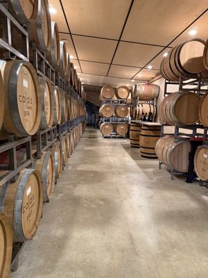 CALAIS Winery by null