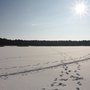 Photo of Deulowitzer See