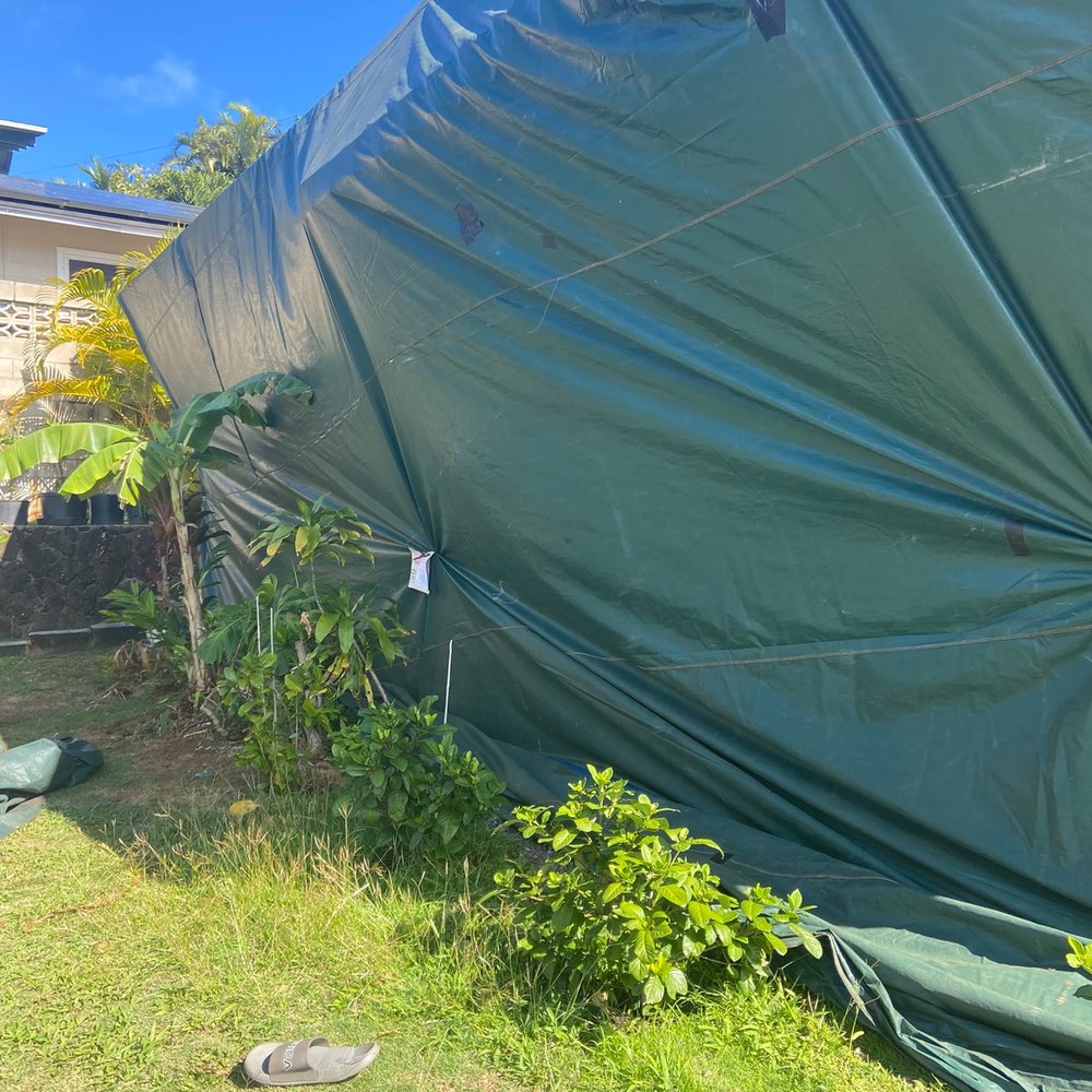 Tenting. Tenting.