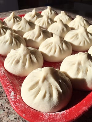 Yummy Dumpling by null