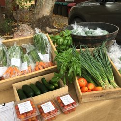 Wind Dancer Farm - Lots of clean grown yummy veggies at the Portal farmers market every Saturday morning.