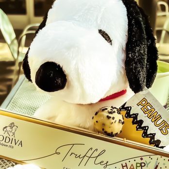 Kohl's - "All you need is love. But a little chocolate now and then does not hurt." Charles Schulz - Department Stores Near Me - HENDERSON, Nevada