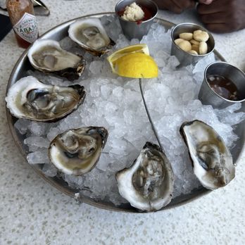 Oceans 234 - East coast oysters - New American Near Me - Deerfield Beach, Florida