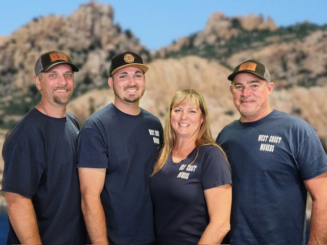 PROFESSIONAL LOW-COST MOVERS LLC