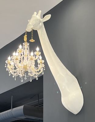 Kompose Hotel Sarasota by null