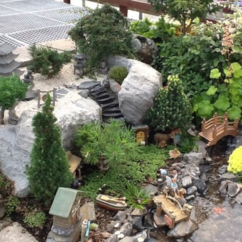 Winter Greenhouse - Their display of the miniature/fairy garden - Nurseries & Gardening Near Me - Winter, Wisconsin Winter Greenhouse - Their display of the miniature/fairy garden - Nurseries & Gardening Near Me - Winter, Wisconsin