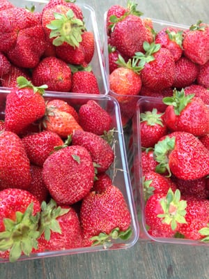 Kingstowne Farmers' Market by null