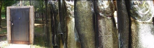 Fox Hollow Lodge by null