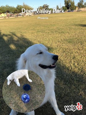 Deer Valley Park by null