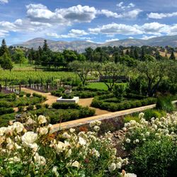 Shadybrook Estate Winery - Our Estate garden as seen from the tasting terrace.