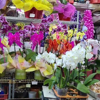 Long Phung Bakery - Inside the bakery - Bakeries Near Me - Westminster, California
