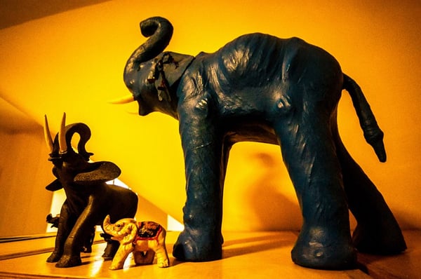 Ostello degli Elefanti Hostel Catania by null