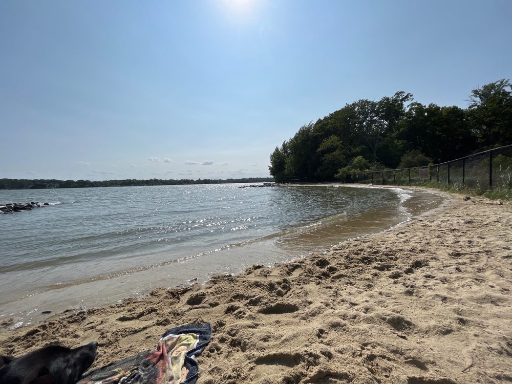 QUIET WATERS DOG PARK Updated July 2024 25 Photos & 18 Reviews