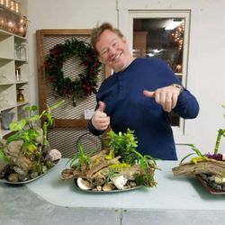 Fun & Feng Shui