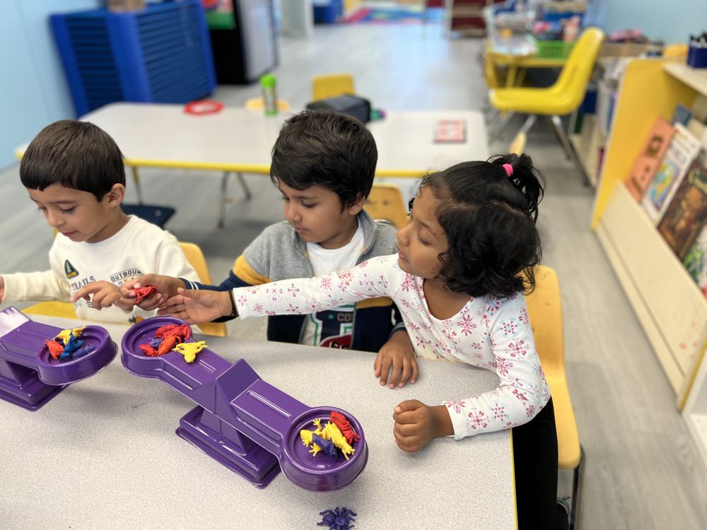 BLOOMING MINDS DAYCARE CENTER 1279 US49, Parsippany, New Jersey Child Care & Day Care