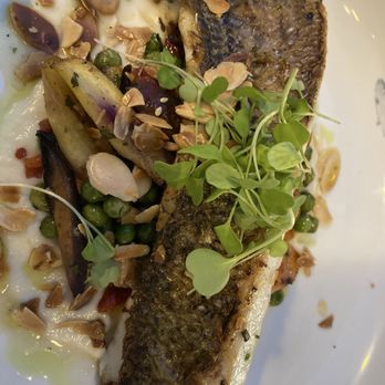 West Chester Seafood Kitchen - Pan Roasted Stripped Bass w/peas & cauliflower - Seafood Near Me - West Chester, Pennsylvania West Chester Seafood Kitchen - Pan Roasted Stripped Bass w/peas & cauliflower - Seafood Near Me - West Chester, Pennsylvania