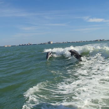 Dolphin Racer Speedboat - Tours Near Me - South Pasadena, Florida Dolphin Racer Speedboat - Tours Near Me - South Pasadena, Florida