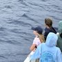 Photo of Hawaii Ocean Project