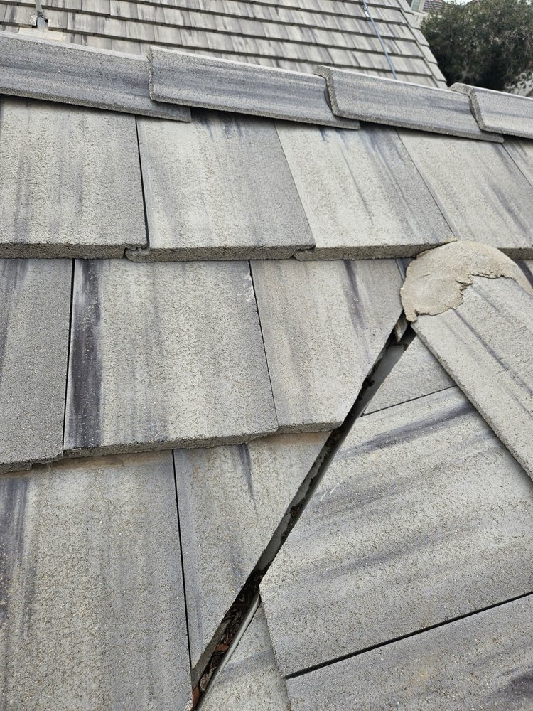 Slide of Romer’s Roofing