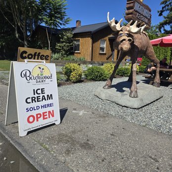 Mighty Moose Ice Cream - Ice Cream & Frozen Yogurt Near Me - Chilliwack, British Columbia Mighty Moose Ice Cream - Ice Cream & Frozen Yogurt Near Me - Chilliwack, British Columbia