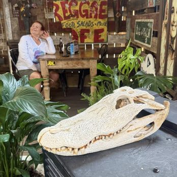 Yellow Dog Eats - Sandwiches Near Me - Windermere, Florida