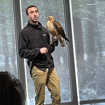 High Desert Museum - Birds of prey talk - Museums Near Me - Bend, Oregon