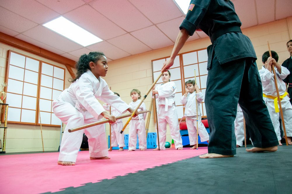Ross Karate School of Martial Arts Logo