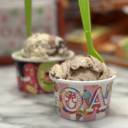 Sloan's - Los Angeles - Almond Joy and Vincenzo's Nutella Vanilla Ice Cream