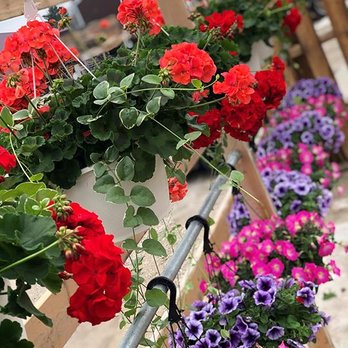 Pro Landscape Supply - red and purple flowers in hanging baskets - Landscaping Near Me - Whitewater, Wisconsin Pro Landscape Supply - red and purple flowers in hanging baskets - Landscaping Near Me - Whitewater, Wisconsin