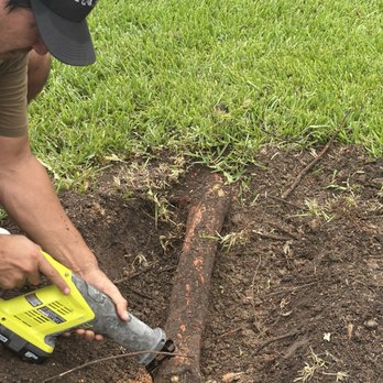Tree Solutions of Texas - Anyone with kids knows this is a hazard even with grass on top - Tree Services Near Me - Pasadena, Texas Tree Solutions of Texas - Anyone with kids knows this is a hazard even with grass on top - Tree Services Near Me - Pasadena, Texas