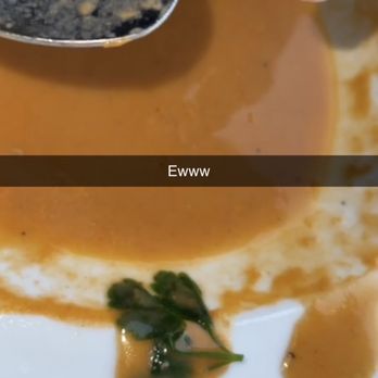 Molos - Hair in his soup - Greek Near Me - Weehawken, New Jersey Molos - Hair in his soup - Greek Near Me - Weehawken, New Jersey