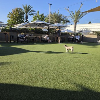 DOG PPL - Dog Parks Near Me - Santa Monica, California