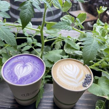 Urban Backyard - Ube Latte (left) & Lavender Latte (right) - Coffee & Tea Near Me - New York, New York Urban Backyard - Ube Latte (left) & Lavender Latte (right) - Coffee & Tea Near Me - New York, New York