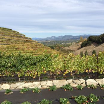 Destination Napa Valley - Beautiful views - Wine Tours Near Me - Napa, California Destination Napa Valley - Beautiful views - Wine Tours Near Me - Napa, California
