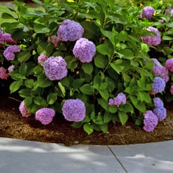Marian Assisted Living - Beautiful year round landscaping surrounded by natural wildlife.