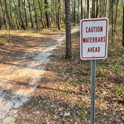 Miccosukee Canopy Road Greenway - New waterbars (wood beams) along trail from crump to thornton, so watch your step.