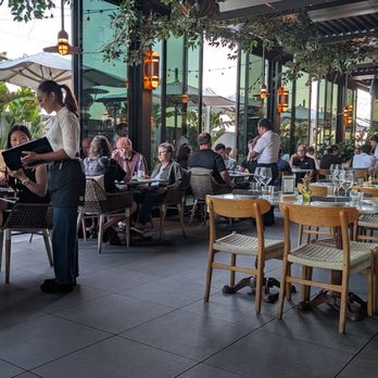Terra - Restaurant - Italian Near Me - Santa Clara, California Terra - Restaurant - Italian Near Me - Santa Clara, California