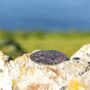 Photo of Point Reyes National Seashore