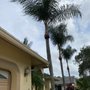 Photo of Mendez Lawn and Irrigation