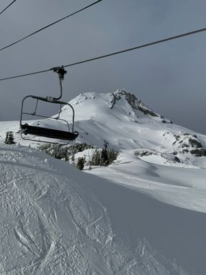 Mt. Hood Meadows by null