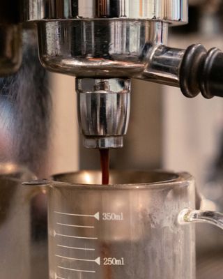 Odd One Out Tea Sawtelle by null
