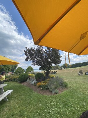 Sheldrake Point Winery by null