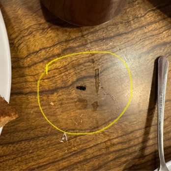 Grammas Country Kitchen - Dead fly after floating inside my coffee. - Waffles Near Me - Banning, California Grammas Country Kitchen - Dead fly after floating inside my coffee. - Waffles Near Me - Banning, California
