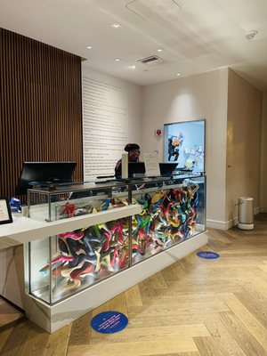 Hotel Zena Washington DC by null