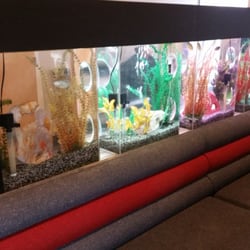 North Shore - Fish tanks in the waiting area