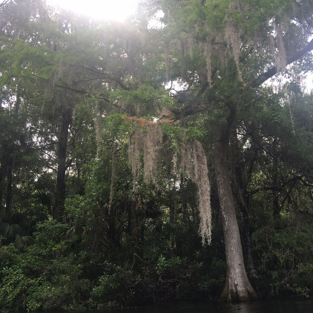 KP Hole - Boating Near Me - Dunnellon, Florida KP Hole - Boating Near Me - Dunnellon, Florida