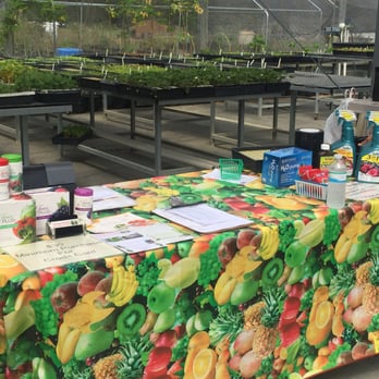 Living Towers - Supplies - CSA Near Me - Eustis, Florida Living Towers - Supplies - CSA Near Me - Eustis, Florida